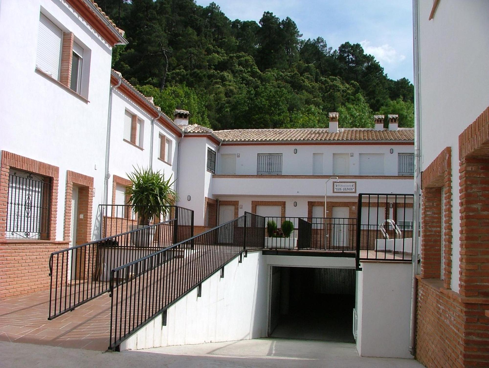 Rural Olivos *