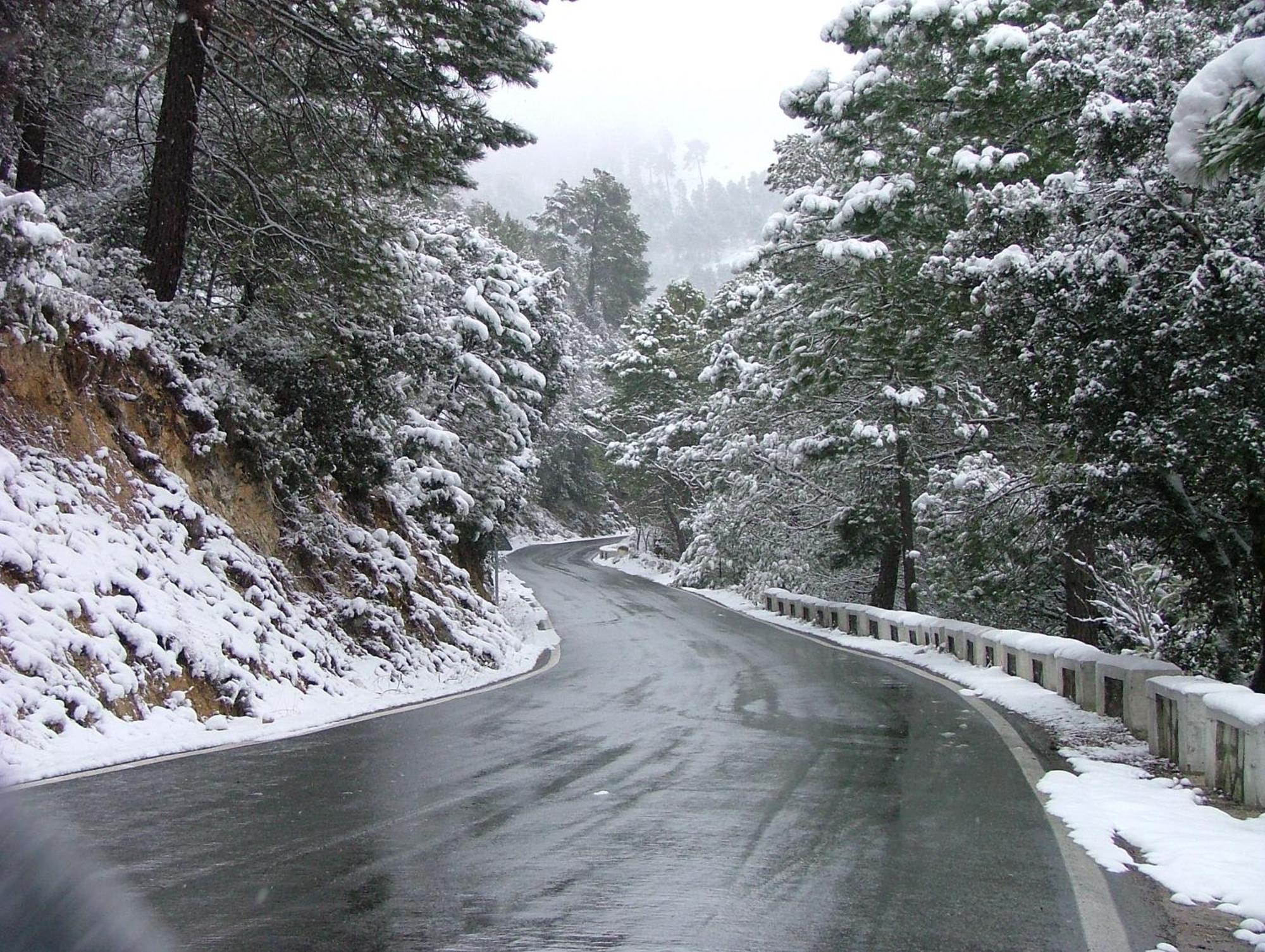 Rural Olivos * Arroyo Frio