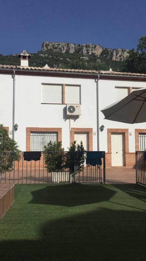 Rural Olivos *