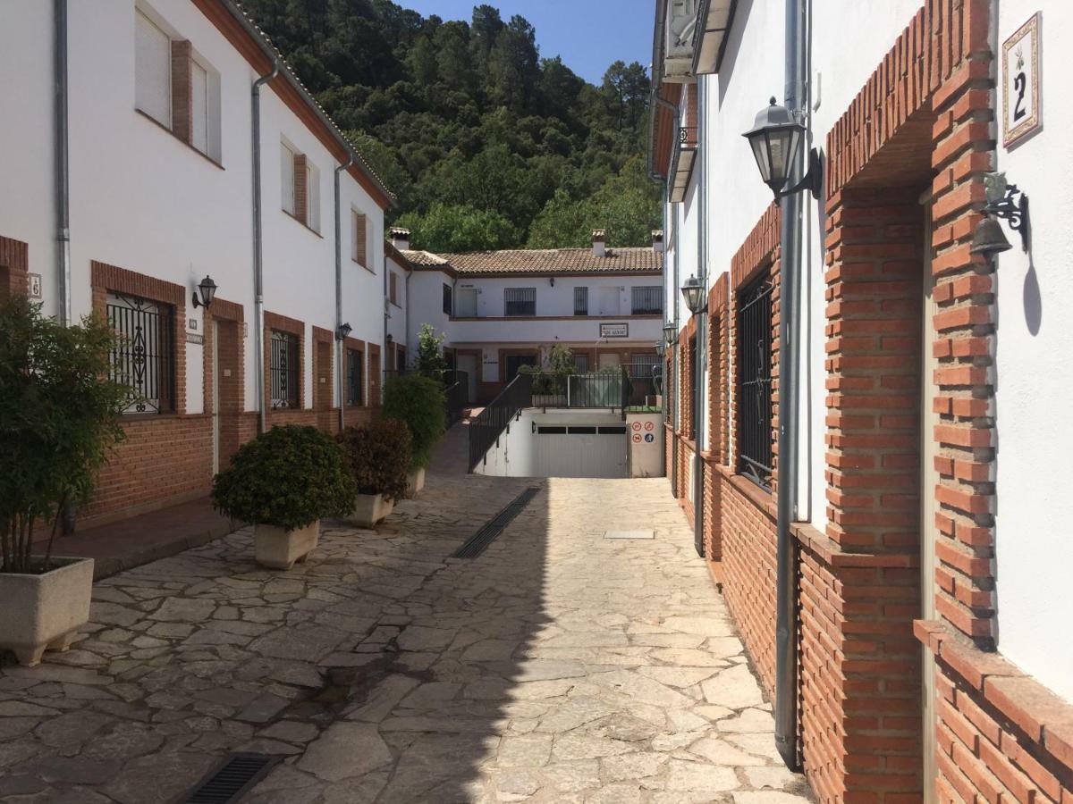 Appartement Rural Olivos *